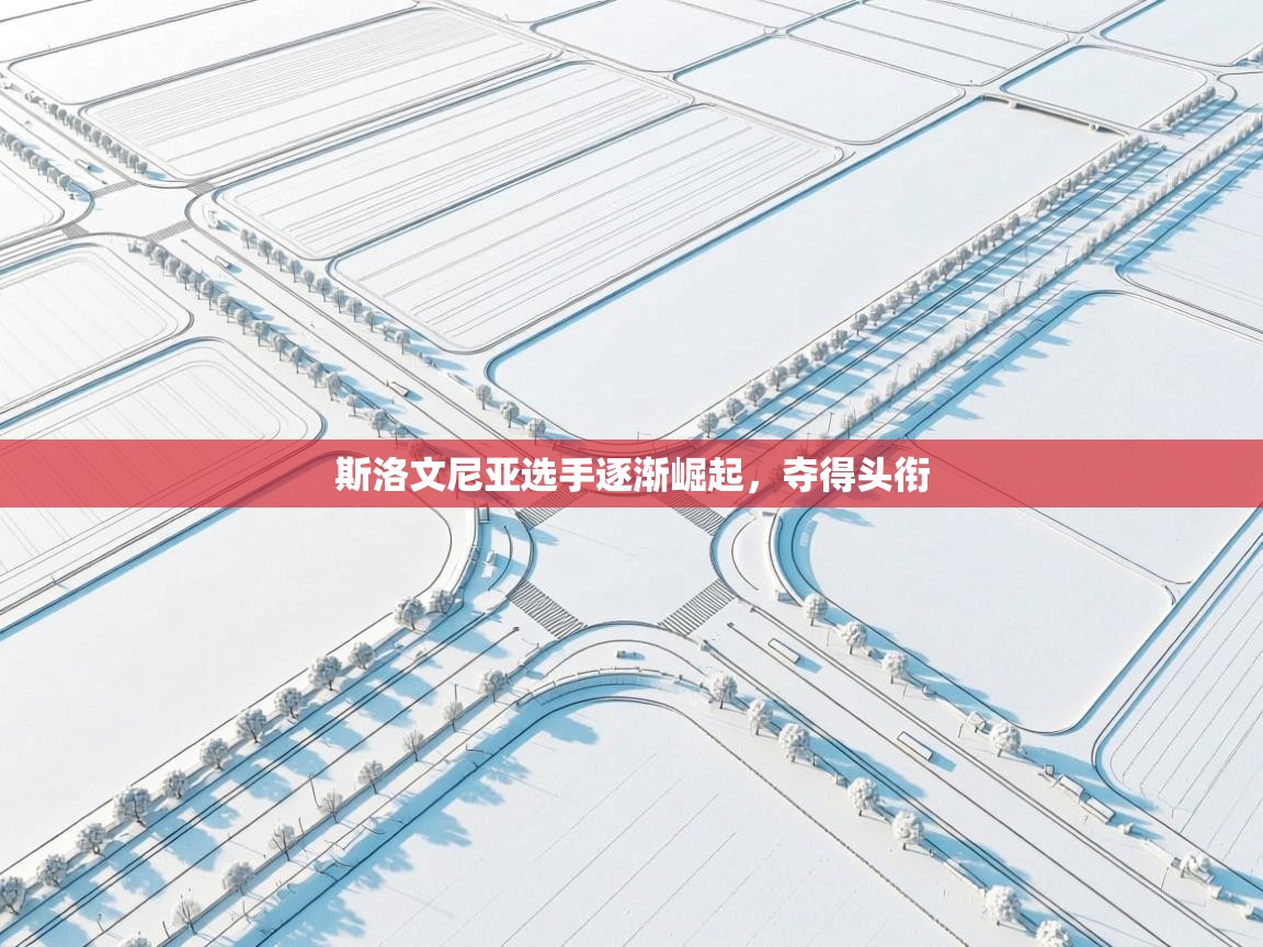 斯洛文尼亚选手逐渐崛起,夺得头衔