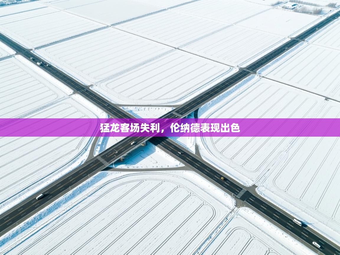 猛龙客场失利,伦纳德表现出色