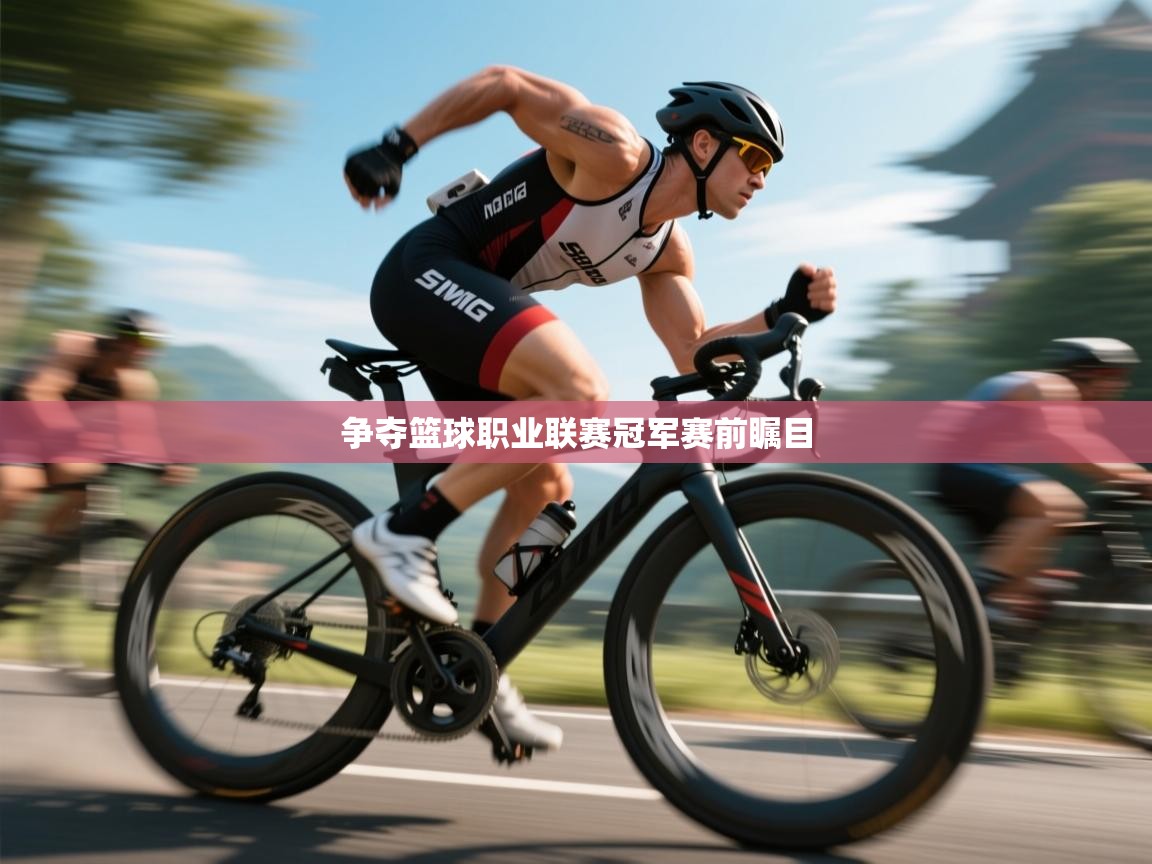 争夺篮球职业联赛冠军赛前瞩目